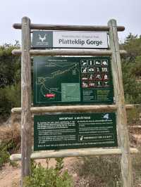 ケープタウンのシンボルであるテーブルマウンテンに登ってみた⛰️
