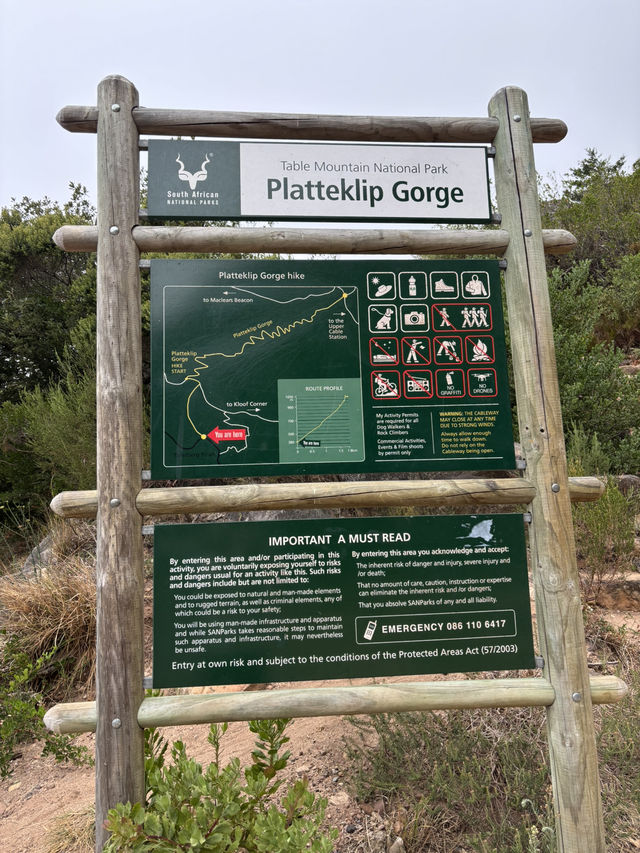 ケープタウンのシンボルであるテーブルマウンテンに登ってみた⛰️