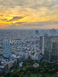 Tokyo: A City of a Thousand Worlds