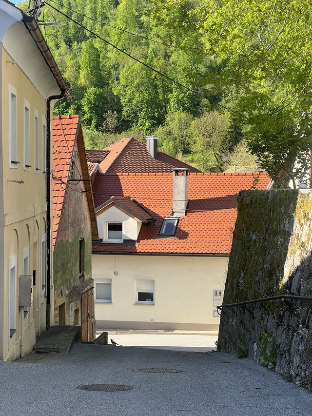 🇸🇮 斯洛維尼亞波斯托伊納（Postojna） 