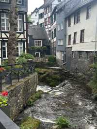 Cultural Day Trip to West Germany