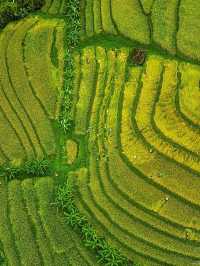 Jatiluwih Rice Terraces, Bali: A Peaceful Tapestry of Tradition and Nature