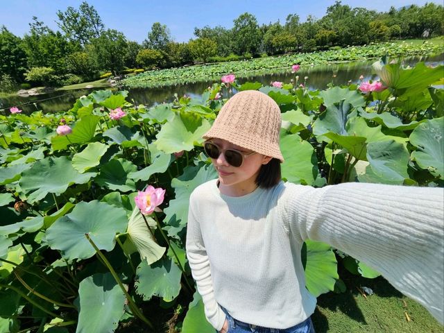 🇨🇳 중국 상하이 연꽃 명소 : 세계엑스포 문화공원