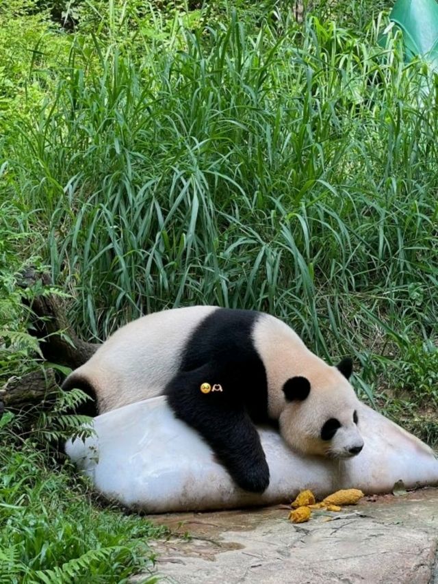 Skyline Sparkle type of city you have to visit at least once 🌃 Skyline Sparkle type of city you have to visit at least once 🌃