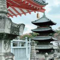 From Tokyo to Nagoya: A Day Trip Beyond the Capital