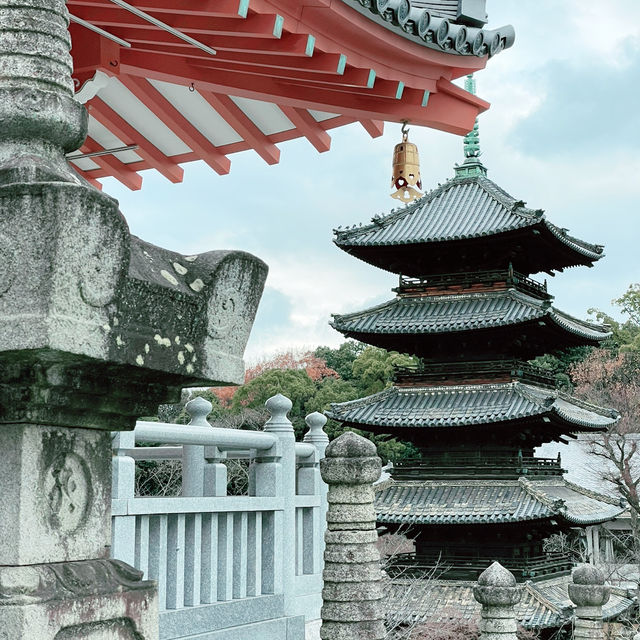 From Tokyo to Nagoya: A Day Trip Beyond the Capital