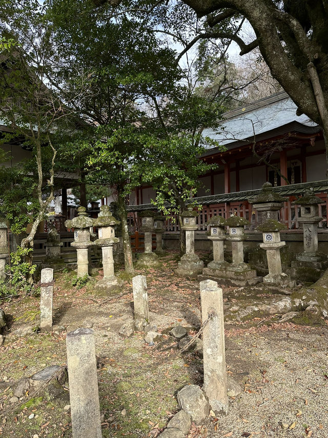 Nara’s Enchanting Shrines & Sacred Deer Encounters