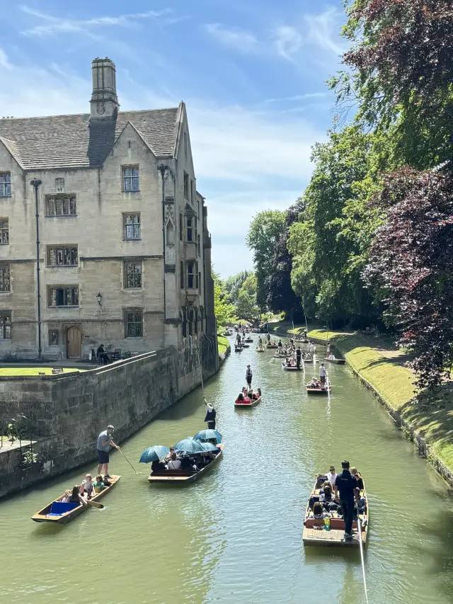 🇬🇧 Cambridge Curiosities: Scholarly Strolls Through History and Knowledge 🎓
