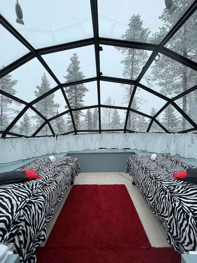 Finland | Stay in a glass igloo and enjoy the night 