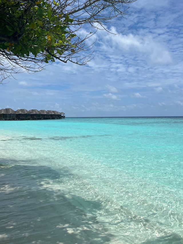 Fihalhohi Island Resort — The Maldives with Soul (Not Perfection, But Heart)