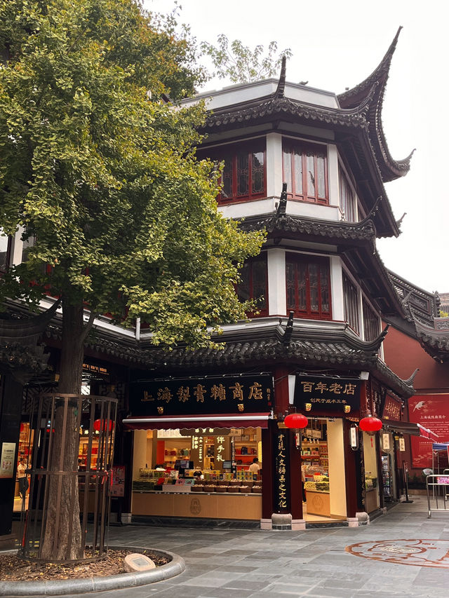 Shanghai 8 Days Itinerary Shanghai 8 Days Itinerary