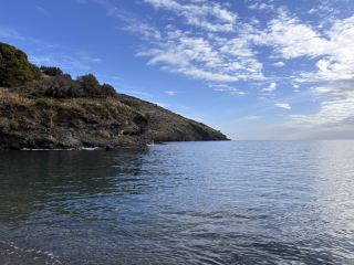 주말에 포르부에서