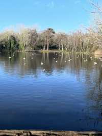 探索千年遺址秘境之旅