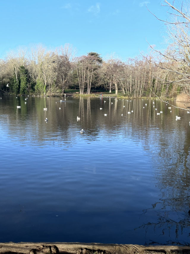 探索千年遺址秘境之旅 探索千年遺址秘境之旅