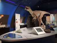 ๐ Dorman Museum โ A Cozy Autumn Escape in Middlesbrough ๐