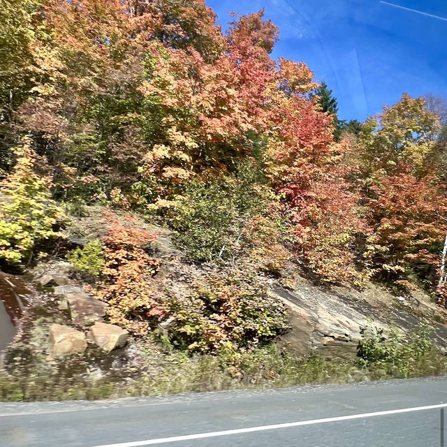 Algonquin Provincial Park