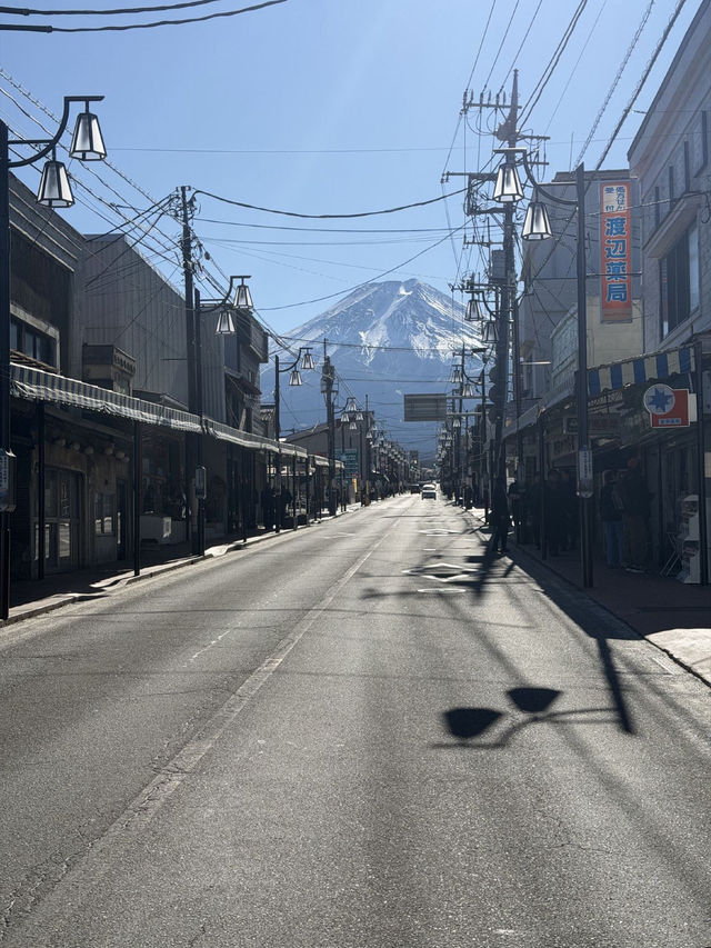 Solo Trip: 15 Winter Days in Japan - from Tokyo to Nagasaki 🇯🇵❄️