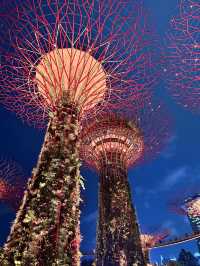 Unforgettable Day at Gardens by the Bay: Perfect for All Ages