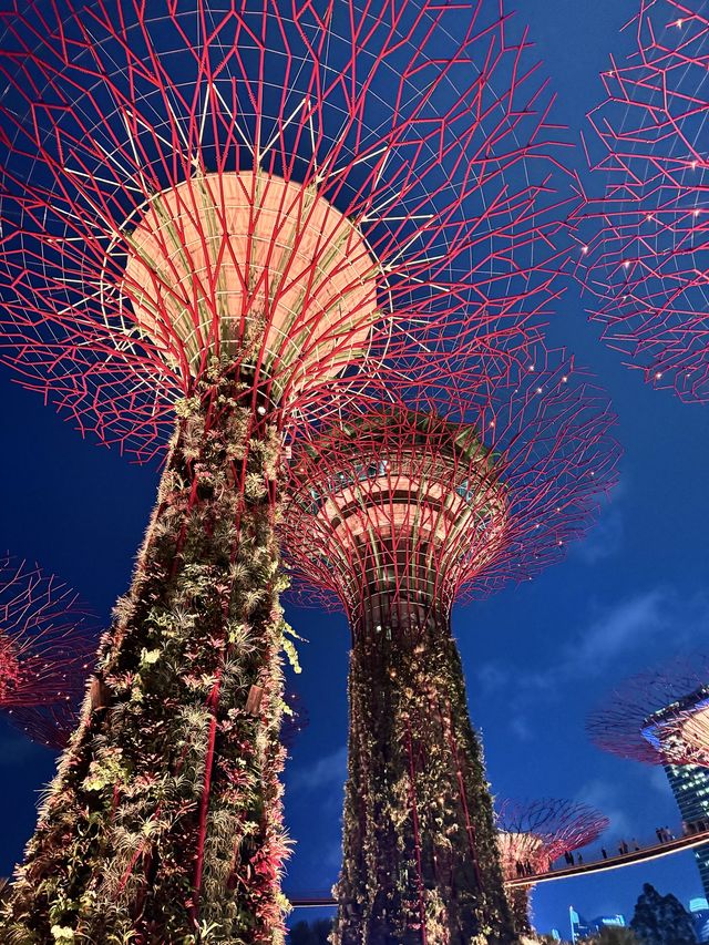 Unforgettable Day at Gardens by the Bay: Perfect for All Ages Unforgettable Day at Gardens by the Bay: Perfect for All Ages