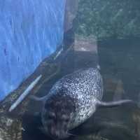 Underwater world Aquarium 