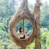 Uma Pakel swing | Ubud, Bali