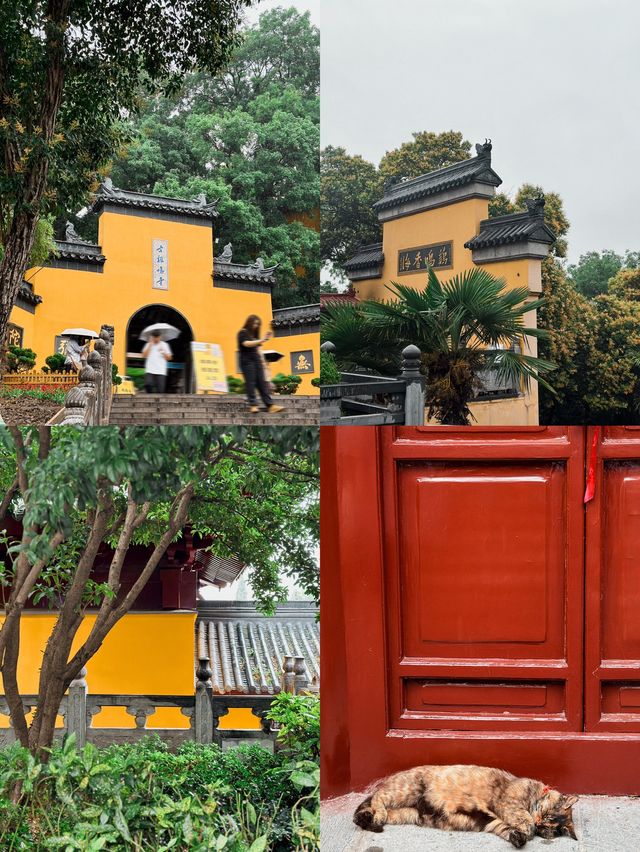 保姆級攻略｜寫給第一次到南京旅遊的你
