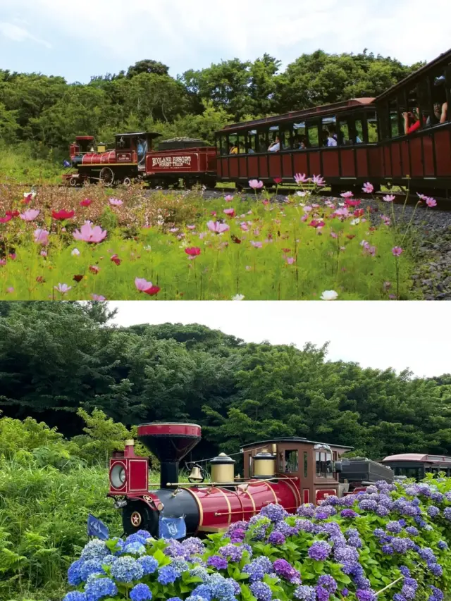 The only large-scale ecological park themed around train travel, Jeju Island's paradise for children.