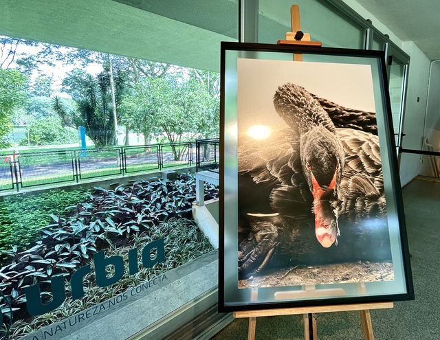São Paulo · Ibirapuera Park