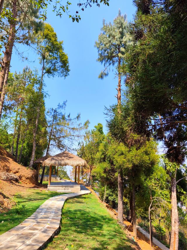 Nepal's top luxury resort, stunning scenery.