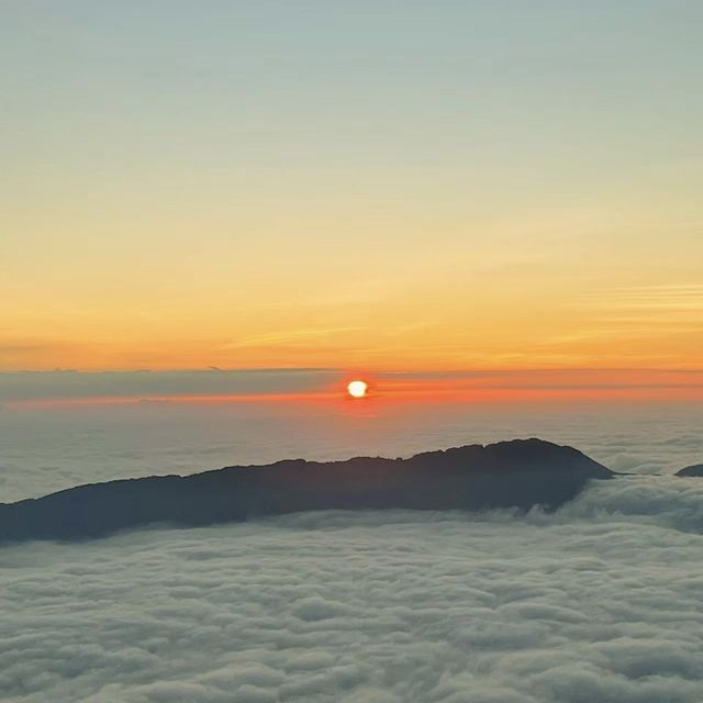 "Phoenix Tianchi" Enjoy Flowers and Sunrise "Phoenix Tianchi" Enjoy Flowers and Sunrise