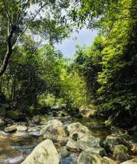 Explore the tropical rainforest around Qinzhou on foot and feel the sunshine.