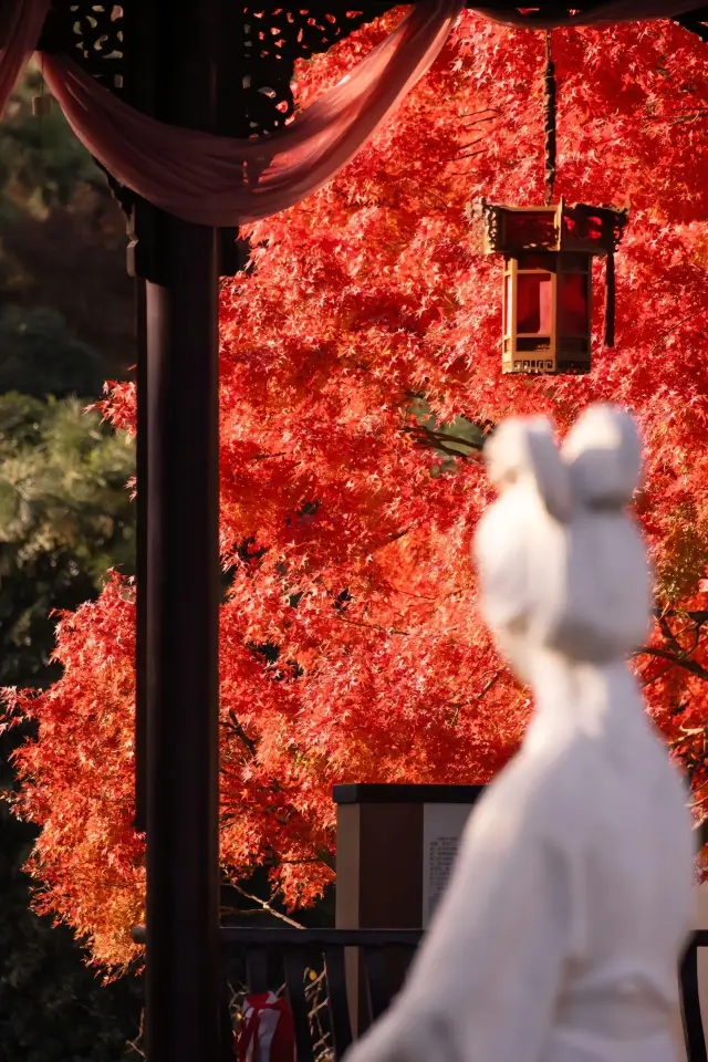 莫愁湖莫愁水院/地下鉄直行、火のような紅葉、本当に美しいです