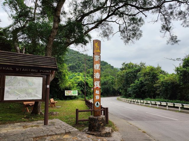 工作日挑戰麥理浩徑一二段全程