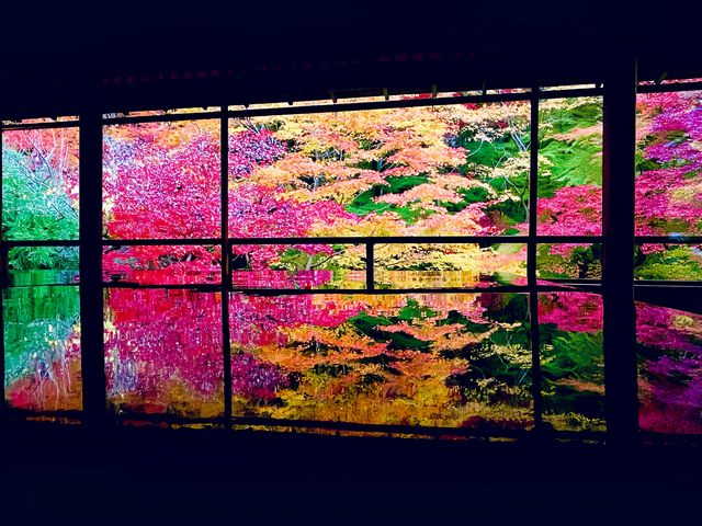 如果你沒有去訪問瑠璃光院，那麼你就錯過了京東最美的紅葉，京都的秋天真的很美