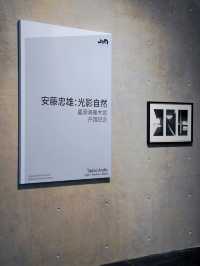 上海安藤忠雄新作長在稻田裡的美術館！