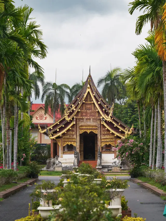 Per capita 2000+, Chiang Mai 4 days 3 nights nanny-level travel guide