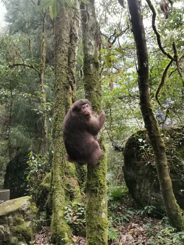 賞秋泡溫泉就來花水灣小鎮