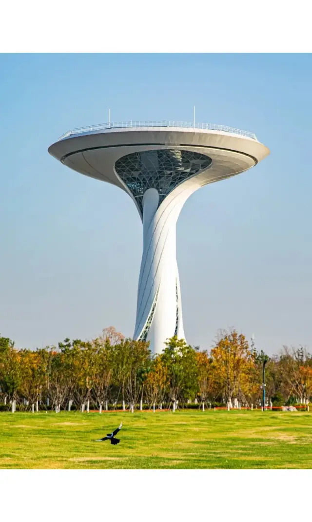 Four-day travel guide to Luogang Park in Hefei