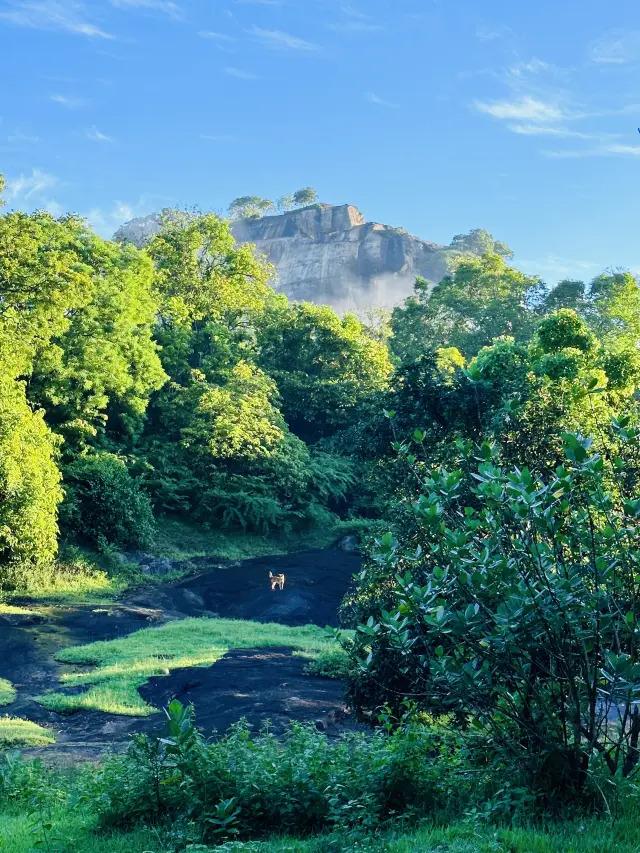 Trip to Sri Lanka ~ Kandy