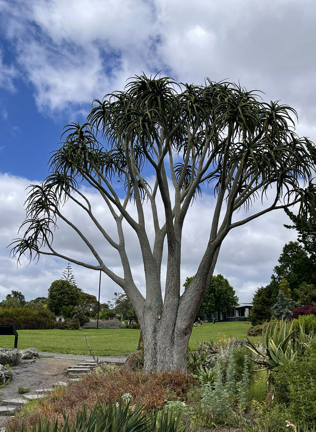 花卉王國 奧克蘭植物園 奧克蘭