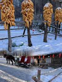 哈爾濱亞布力滑雪場｜滑雪一定來這啊