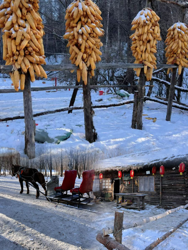 哈爾濱亞布力滑雪場｜滑雪一定來這啊