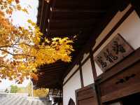 京都景點｜瑞巌山 圓光寺