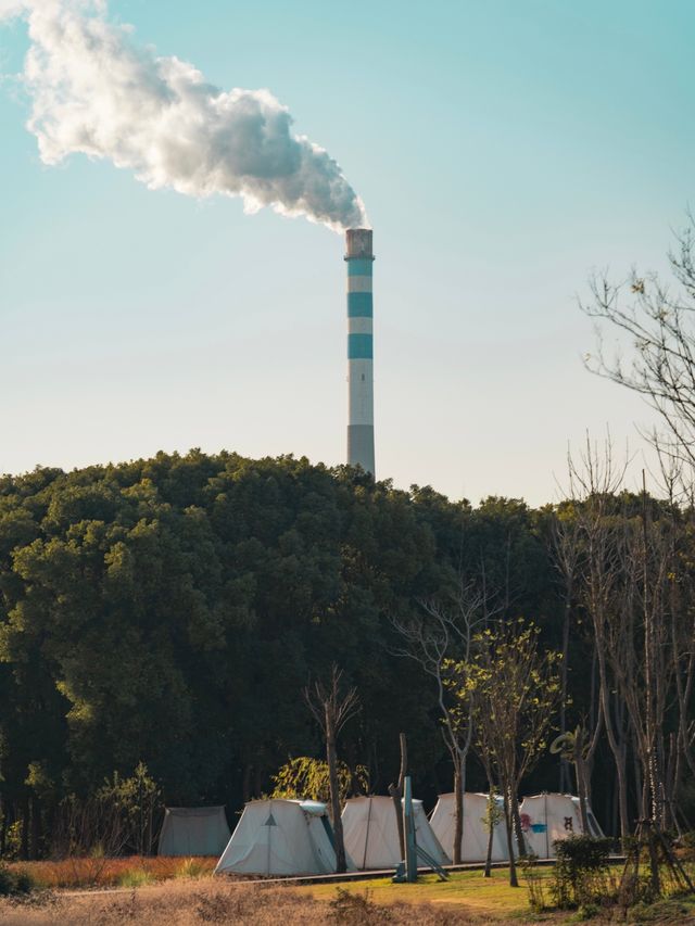 上海周邊團建首選尋找久違的鬆弛感