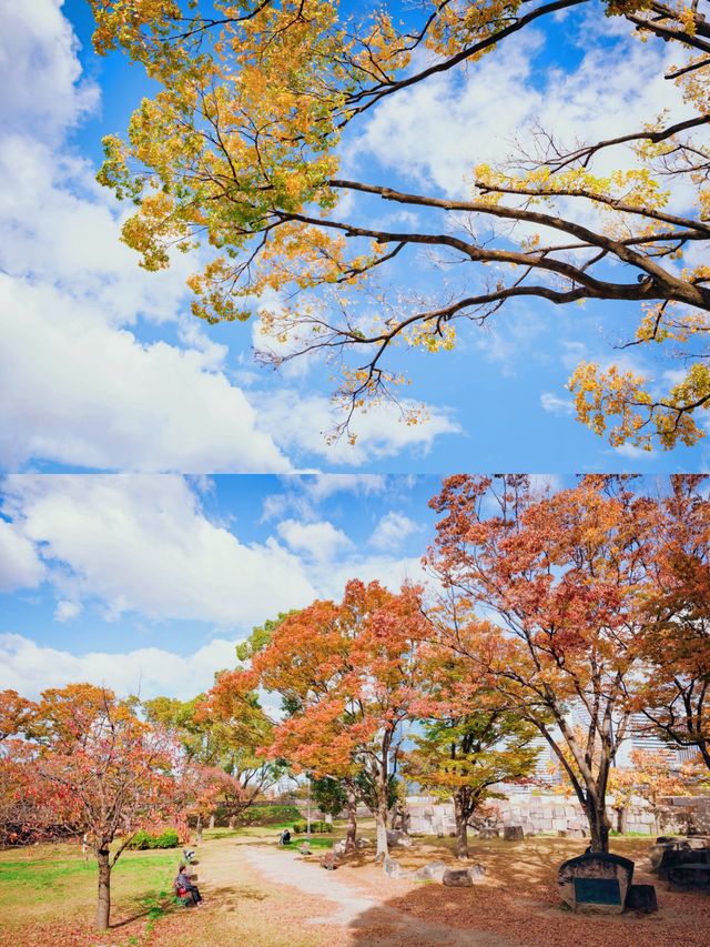 全球追秋|大阪城公園的五彩秋天