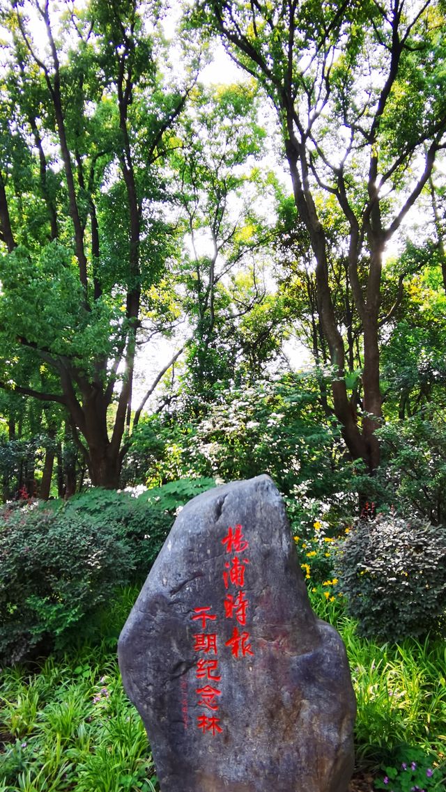 “滬東小西湖”——楊浦公園