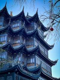 秋天,去莊嚴寺看古銀杏嗎?