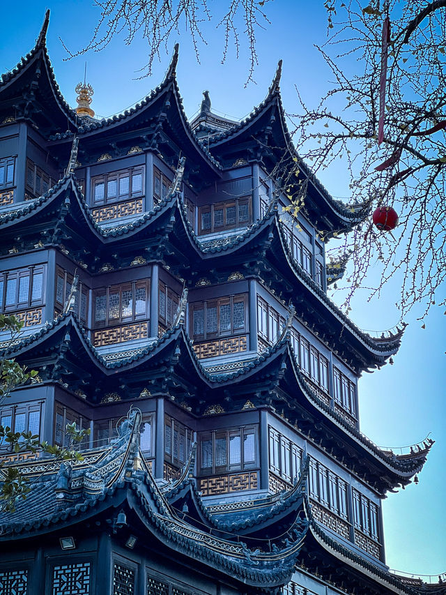 秋天,去莊嚴寺看古銀杏嗎? 秋天,去莊嚴寺看古銀杏嗎?