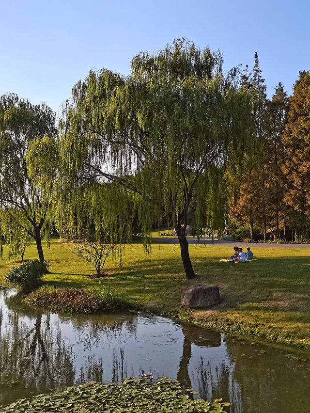 請收下這篇：辰山植物園遊園指南