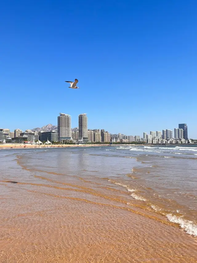 In Qingdao | Let's go to see the sea, to see the undefined sea, to see the scorching sea under the clear sky